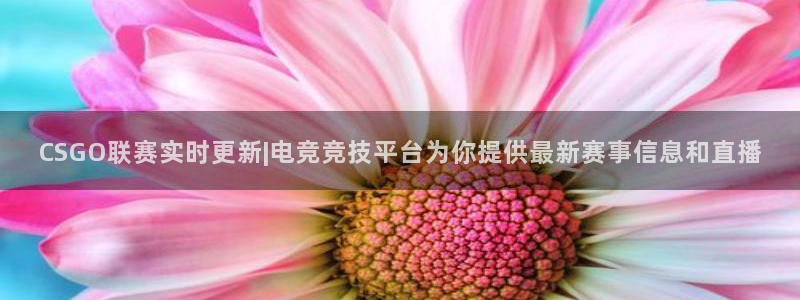 蓝鲸直播 app：CSGO联赛实时更新|电竞竞技平台为你提供最新赛事信息和直播