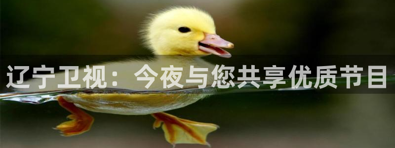蓝鲸直播体育免费观看