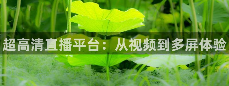 蓝鲸直播ios