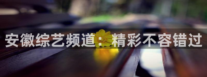 蓝鲸的视频大全：安徽综艺频道：精彩不容错过