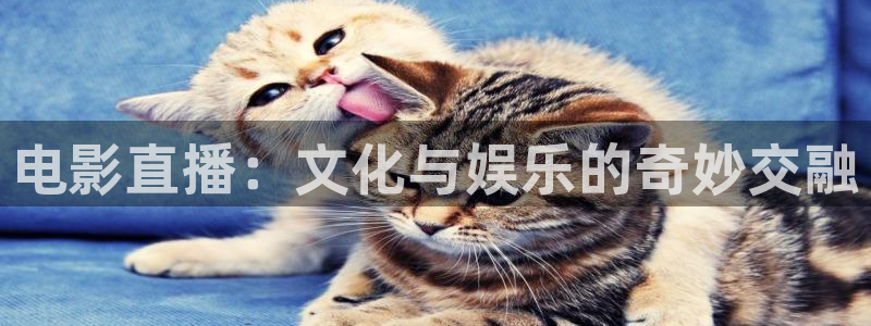 蓝鲸直播下载安装：电影直播：文化与娱乐的奇妙交融