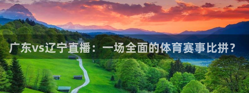 蓝鲸直播体育app下载手机版：广东vs辽宁直播：一场全面的体育赛事比拼？